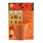 Radis et Capucine - Kit de jardinage enfant - Chevalier - MEDIA_PACKAGING_VERSO